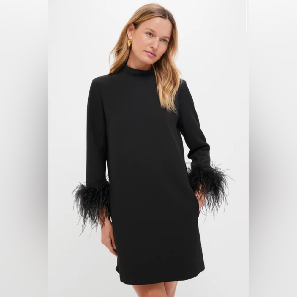 Tuckernuck Black Feather Mod Ellie Mock‎ Neck Dress LBD Small